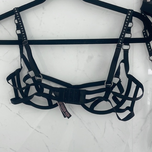 Victoria Secret Swarovski Lingerie - Picture 4 of 11